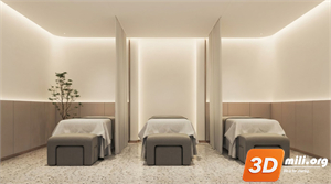 Spa Skp Files 